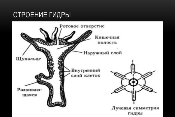 Кракен макет даркнет только через тор