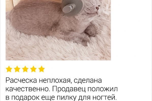 Мега кракен блэк спрут
