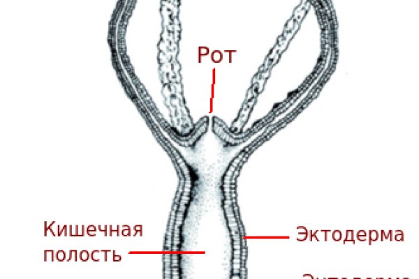 Kraken оригинальная ссылка