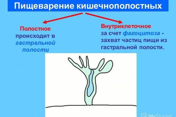 Как зарегистрироваться на сайте кракен