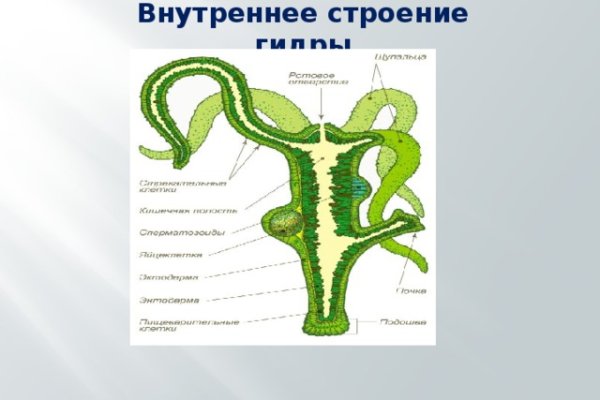 Кракен зеркало krakenat2krnkrnk com